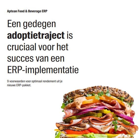  9 Important Steps for an Optimal Return on Investment from Your New ERP Solution [PDF in Dutch]