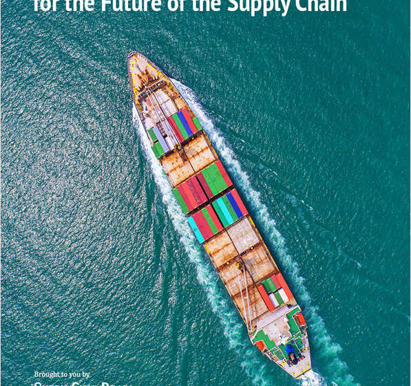  The Importance of Investment in Ports for the Future of the Supply Chain